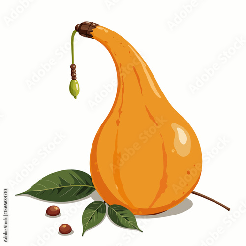 Yellow gourd with green leaves and seeds on white background  