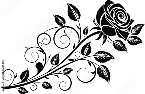 Elegant black rose with swirling vine and leaves floral