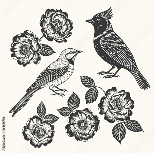 Vintage black and white engraving of two songbirds perched among blooming peonies and rose flowers, botanical style, intricate linework