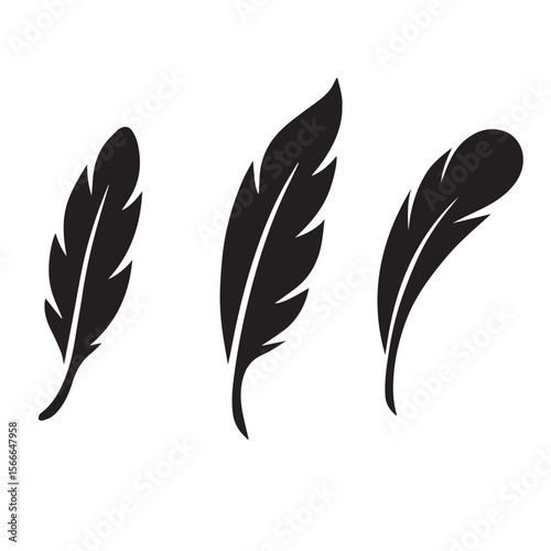 Set of Three Elegant Feather Silhouettes in Black on White Background
