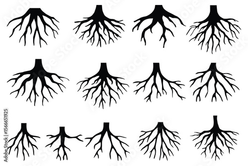Black tree roots collection white nature