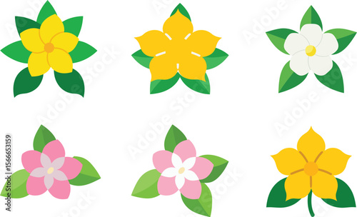 jasmine flower vector illustration
