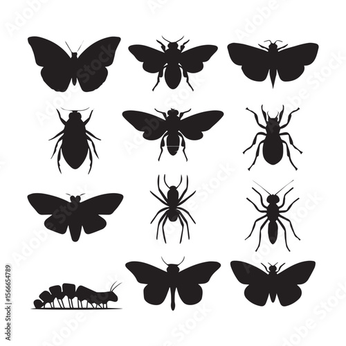 Butterfly bee ant beetle caterpillar silhouettes moth