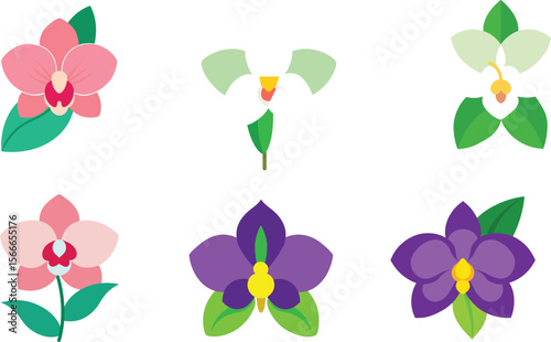 orchid flower vector illustration