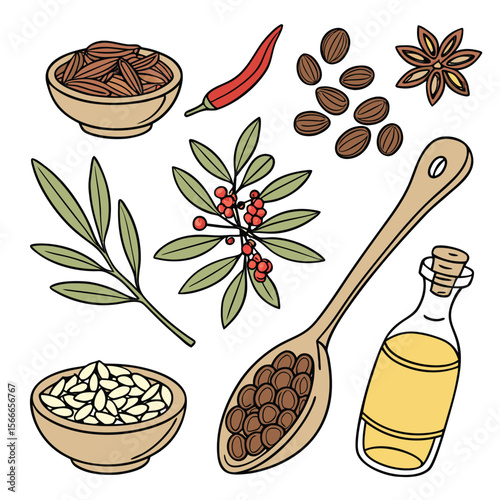 Vector illustration of various food items including spices herbs seeds oil and bowls on white background