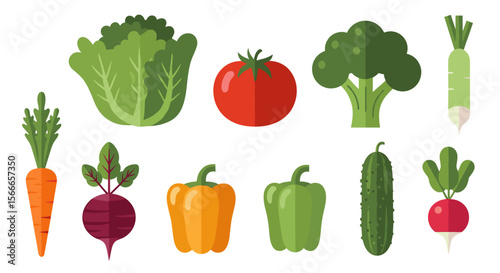 Illustration of various colorful vegetables including lettuce tomato broccoli and other produce items
