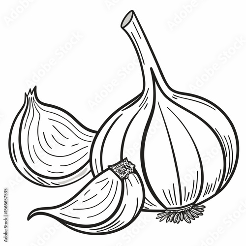 Black and white illustration of garlic bulb and cloves on a solid white background vegetable