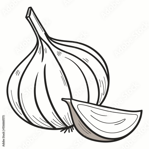 Garlic bulb and clove illustration with black outlines on a solid white background vegetable