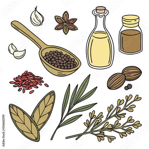 Vector illustration of various food ingredients including garlic cloves star anise peppercorns oil bottle and herbs