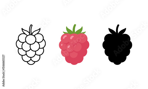 Raspberry trio showing outline, color, and silhouette variations