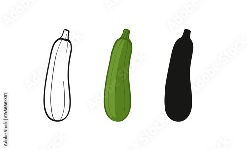 Coloring page with green zucchini outline and silhouette on white background