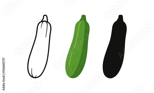 Trio of zucchini: outline, colorful, and silhouette variations on white background