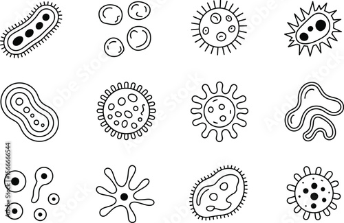 Twelve Black Line Drawings of Microscopic Organisms