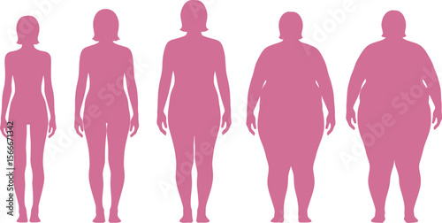 Body shape evolution female weight gain stages from slim to plus size woman