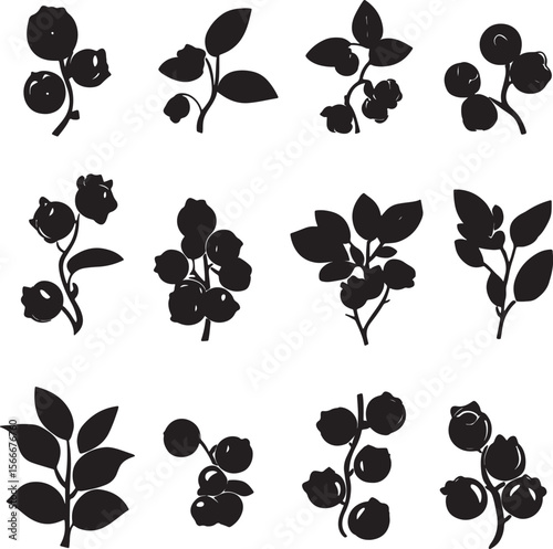 Collection of sleek black vector silhouettes of different blueberry varieties