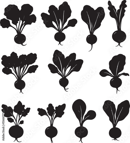 Black vector illustration of minimalist radish silhouettes