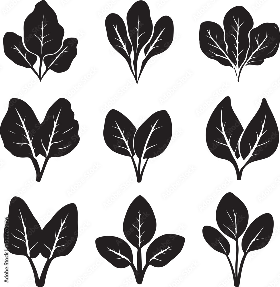Obraz premium Set of spinach silhouettes in a clean and simple black vector illustration