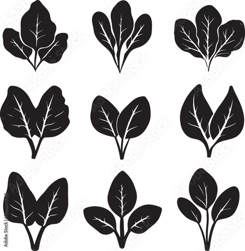 Set of spinach silhouettes in a clean and simple black vector illustration