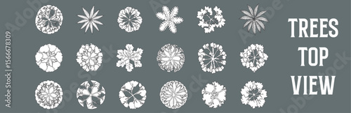 Architectural Drawings Different Trees vector illustration, top view, trees  Minimal style hand drawn. Sections, Elevations, Floor Plans