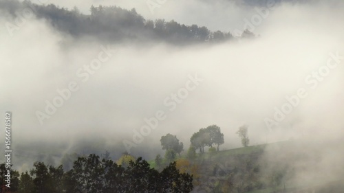 фотографія sea ​​of ​​fog over the hills