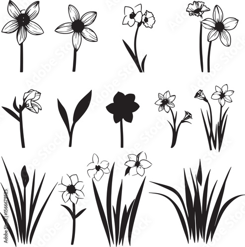 Collection of Daffodil clean simple vector silhouette black vector illustration