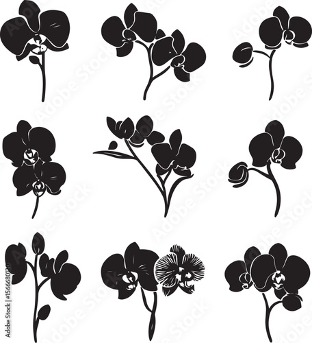 Simple and clean orchid flower vector silhouettes in black