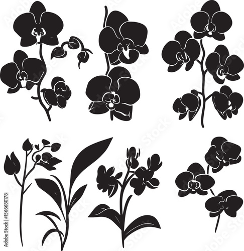 Minimalist black vector illustration featuring orchid flower silhouettes