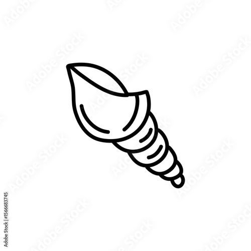 Hand drawn seashell outline illustration
