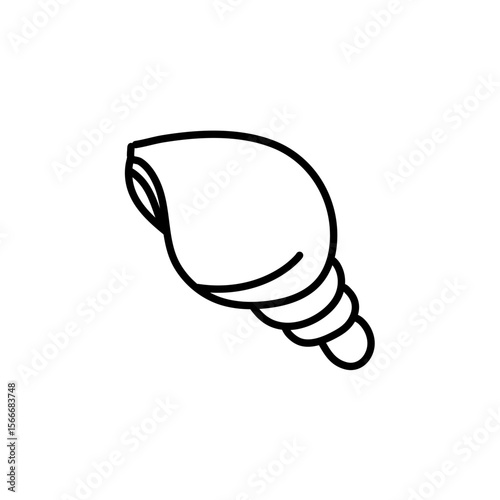 Hand drawn seashell outline illustration
