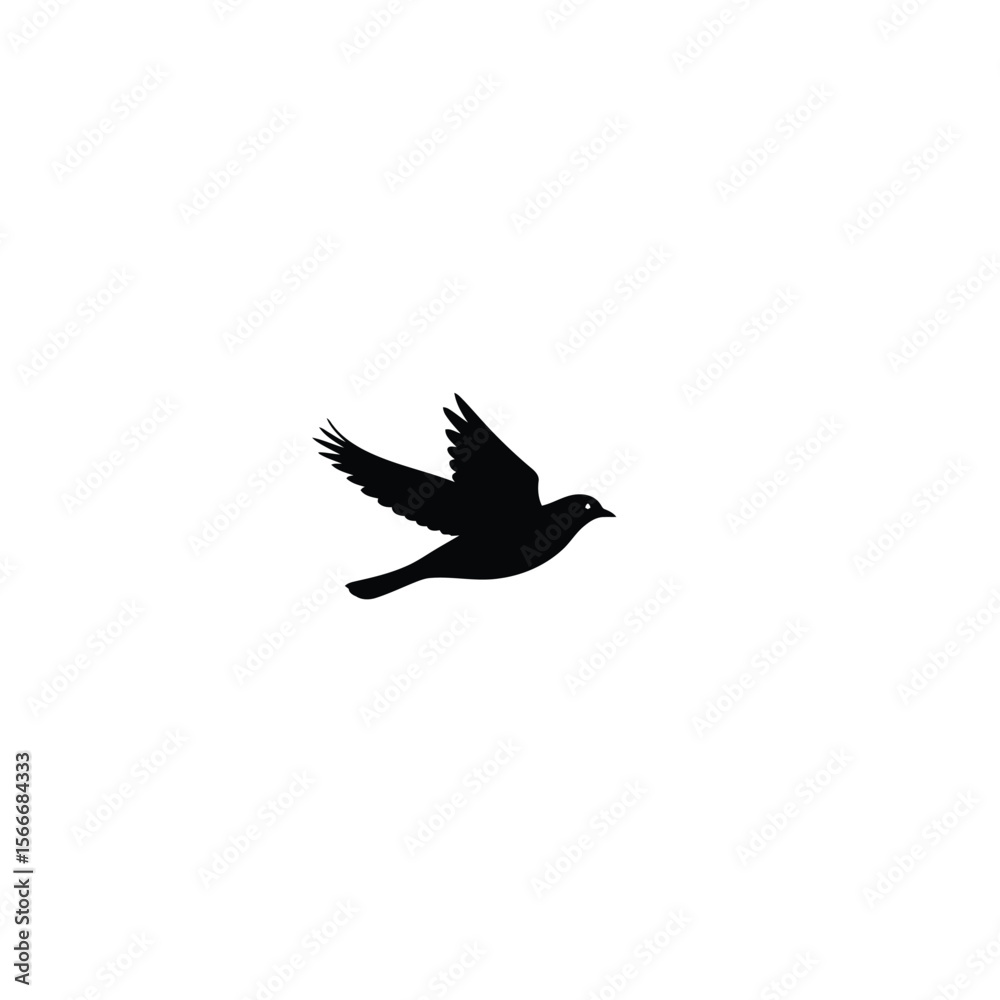 Fototapeta premium Silhouette of a Bird in Flight