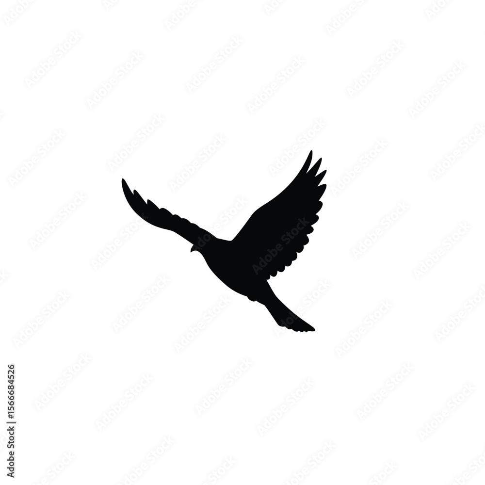 Fototapeta premium Silhouette of a bird in flight