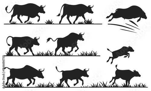 Collection of dynamic bull and cow silhouettes in various poses on grass silhouette