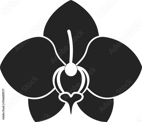 orchid isolated on black background