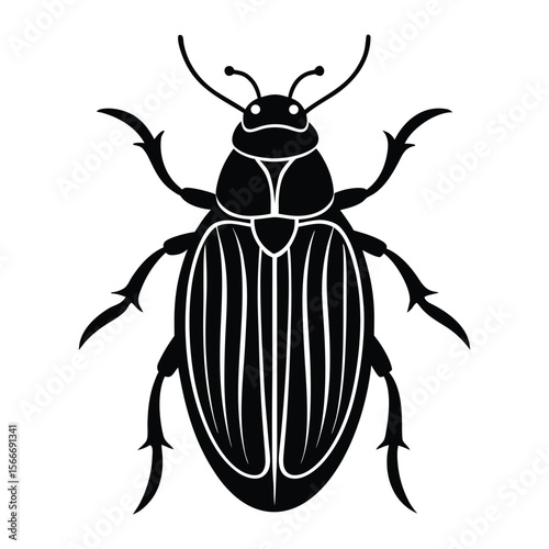 colorado potato beetle