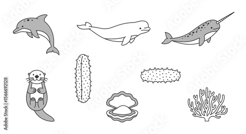 Vector marine life illustration featuring dolphin beluga narwhal otter sea cucumber oyster and coral drawing art