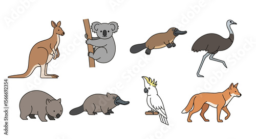 Vector australian wildlife animals illustration featuring kangaroo koala platypus emu wombat cockatoo and dingo art