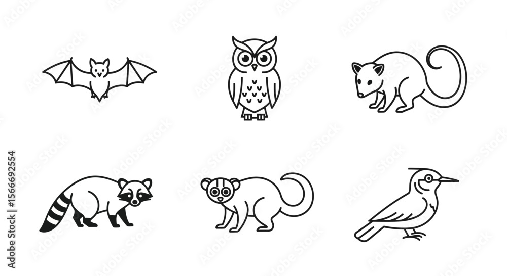Fototapeta premium Vector line art vector illustration of wild animals bat owl opossum raccoon lemur and bird clip art drawing design