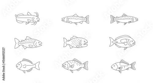Vector collection of different types of fish line art illustration vector design drawing seafood fishing marine life 100
