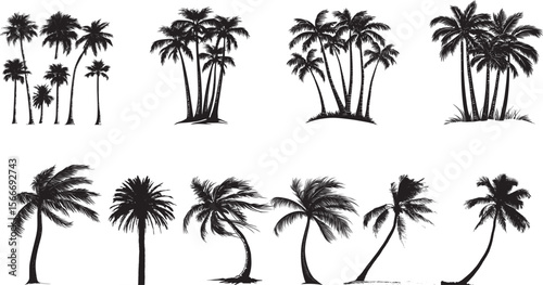 Group of Palm Trees Several palm trees arranged closely, each with trunks positioned at varying angles, all crowned with lush fronds. Full-length silhouette black vector design.
