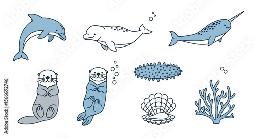 Vector ocean animals illustration featuring dolphin narwhal otter sea cucumber coral and shell drawing art design