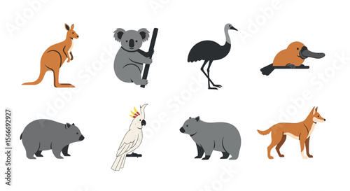 Vector australian wildlife animals illustration featuring kangaroo koala emu platypus wombat cockatoo dingo