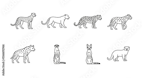 Vector vector illustration of african animals cheetah leopard meerkat hyena serval and lion wildlife drawing 100