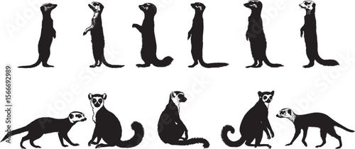 Lemur Alert Body upright with ears perked, tail extended and alert to surroundings. full length silhouette black vector illustration