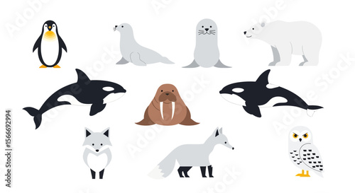 Vector arctic animals vector illustration featuring polar bear, orca, penguin, seal, walrus, fox and owl design