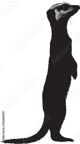 Meerkat Alert Body upright, front legs raised, with head turned toward a sound or potential danger. full length silhouette black vector illustration