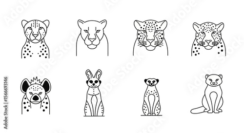 Vector line art vector illustration of african animals cheetah leopard hyena rabbit meerkat and ferret drawing design