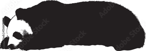 Panda Sleeping Body curled up or lying flat on the ground with head resting on paws. full length silhouette black vector illustration