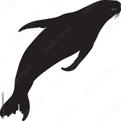 Walrus Diving Body angled downward, using flippers to dive beneath the surface of the water. full length silhouette black vector illustration