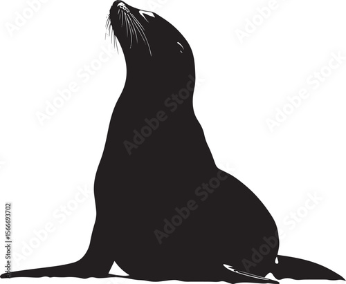 Sea Lion Sunning Body relaxed, belly up, flippers spread out while basking on a sunny surface. full length silhouette black vector illustration