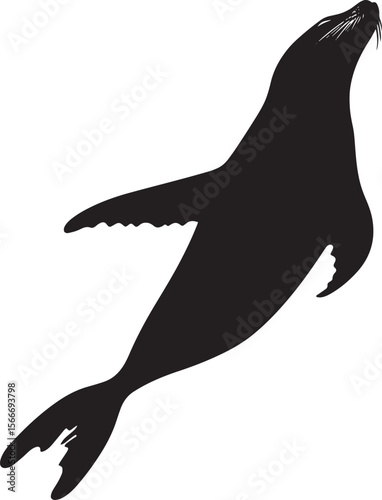 Sea Lion Plunging Underwater A silhouette of a sea lion with its body tilted downward and flippers outstretched as it dives into the depths. Full-length silhouette black vector illustration.